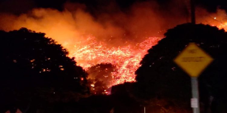 California’da yangınlar sürüyor: Yaklaşık 200 bin hektar ormanlık alan kül oldu