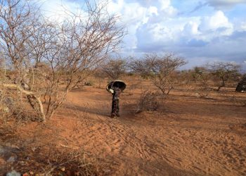 Somali’de 3 milyon kişi gıda krizi ve salgın hastalıklarla karşı karşıya