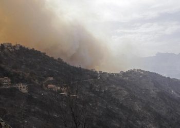 Cezayir’deki 100’den fazla orman yangınının 76’sı söndürüldü