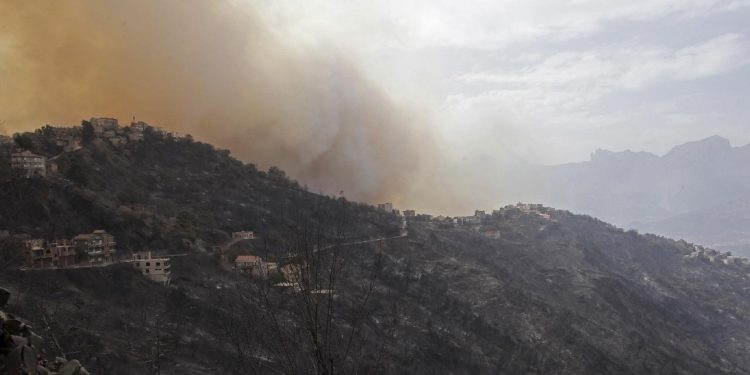 Cezayir’deki 100’den fazla orman yangınının 76’sı söndürüldü