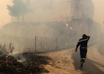 Cezayir’deki orman yangınlarında ölü sayısı 7’ye çıktı