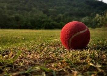 Kriket camiası 2028 Olimpiyatları’nda yer almak istiyor