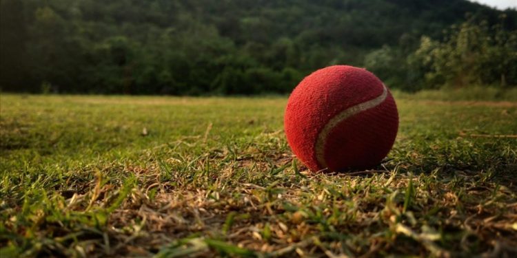 Kriket camiası 2028 Olimpiyatları’nda yer almak istiyor
