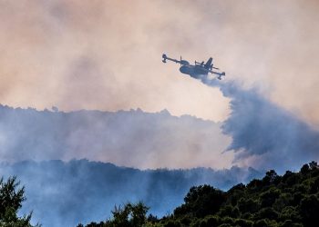 Fransa’da orman yangınları: 5 itfaiyeci yaralandı