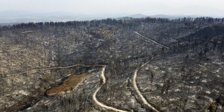 Yunanistan’da 1 milyon 300 bin dönümlük alan kül oldu