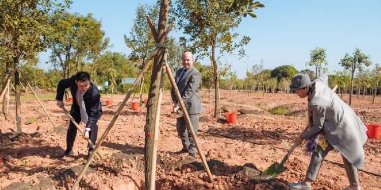 Çin’de “Türkiye Hatıra Ormanı” kuruldu