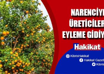 Narenciye üreticileri “yok olmamak” için eyleme gidiyor!