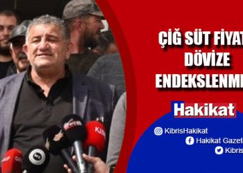 Mustafa Naimoğulları: Siyasiler yüzünden hayvancı karşısında mahcup olduk