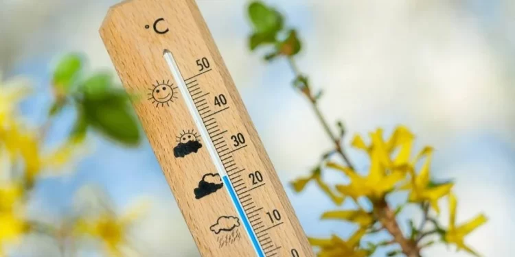 Bölgede serin ve nemli hava etkili