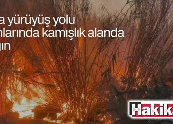Lapta yürüyüş yolu yakınlarında kamışlık alanda yangın