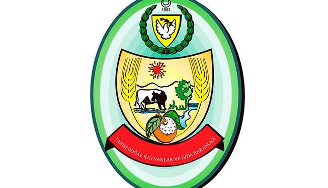 Tarım Bakanlığı buğday ödemelerinin başladığını duyurdu