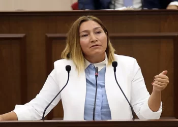 Öztürk: Long Beach bölgesinde yapılan yüksek binalarda kimler oturuyor?
