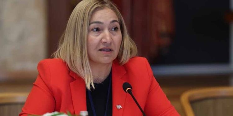 Öztürk’ten Güney Kıbrıs ve NATO Açıklaması