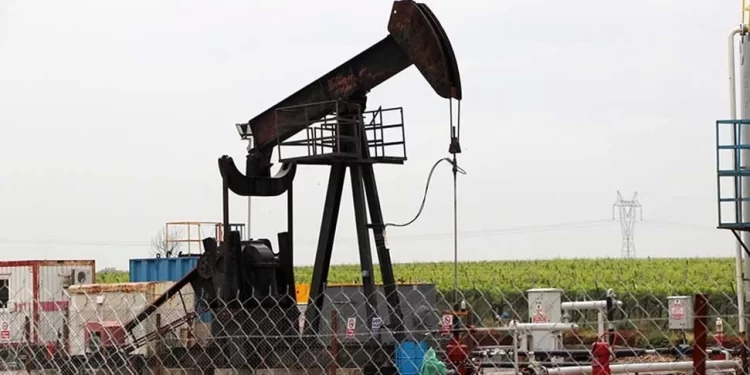 Petrol ABD stoklarındaki düşüşle yükseliyor