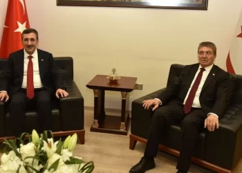 Başbakan Ünal Üstel, Türkiye Cumhurbaşkanı Yardımcısı Cevdet Yılmaz ile görüştü
