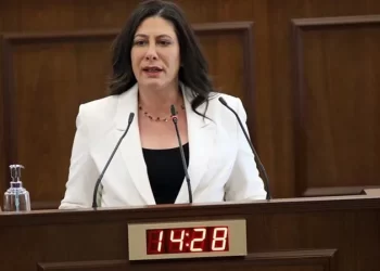 Sıla Usar İncirli: Bu ülkede ekonomik kriz ve işsizlik sorunu var