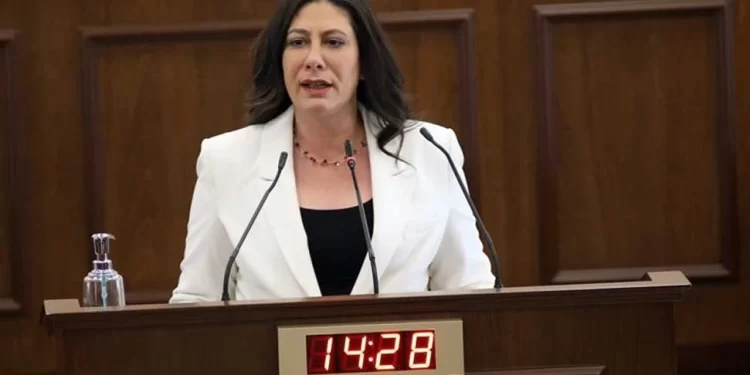 Sıla Usar İncirli: Bu ülkede ekonomik kriz ve işsizlik sorunu var