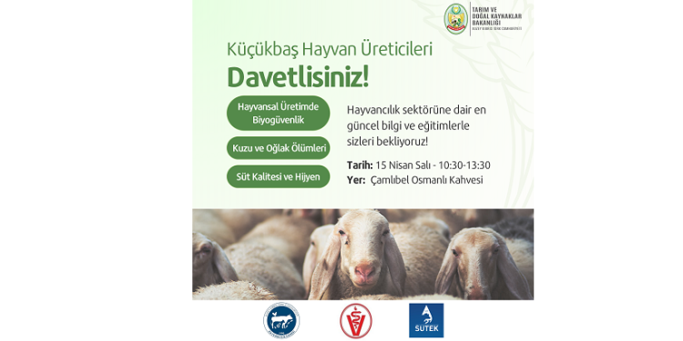 Küçükbaş hayvan üreticilerine yönelik eğitim programı