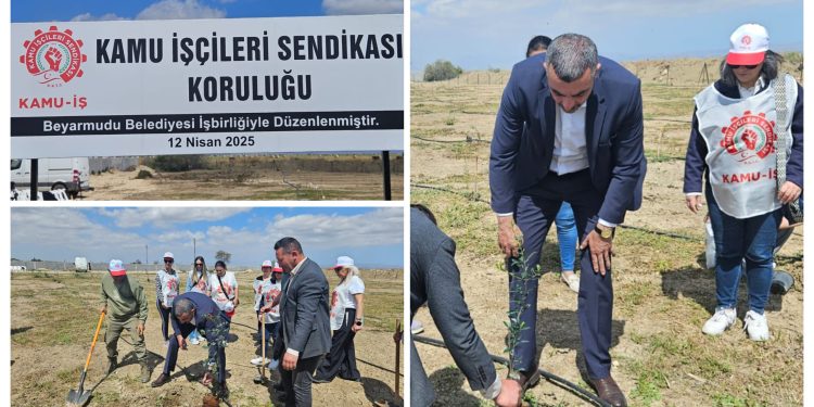 Çayönü köyünde “Kamu İş Koruluğu” oluşturuldu